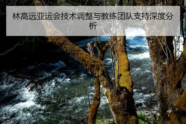 林高远亚运会技术调整与教练团队支持深度分析