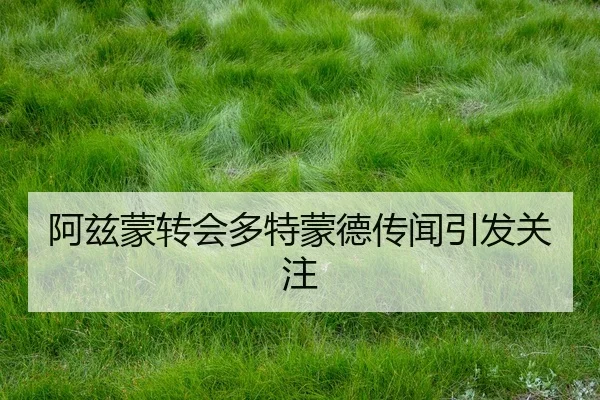 阿兹蒙转会多特蒙德传闻引发关注